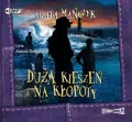 Duża kieszeń na kłopoty audiobook - tantis.pl