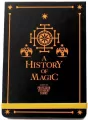 Harry Potter Notes pocket Historia Magii - tantis.pl