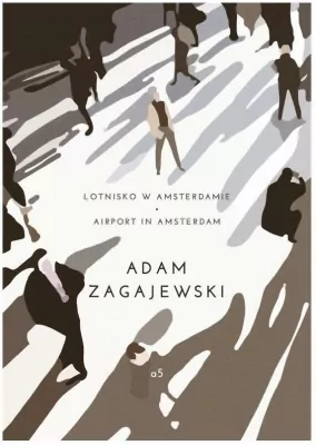 Lotnisko w Amsterdamie / Airport in Amsterdam