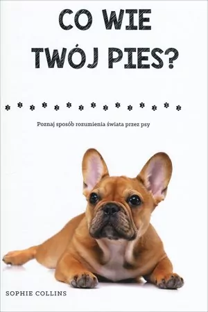 Co wie Twój pies? Poznaj sposób rozumienia świata przez psy - tantis.pl