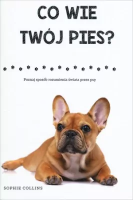 Co wie Twój pies? Poznaj sposób rozumienia świata przez psy