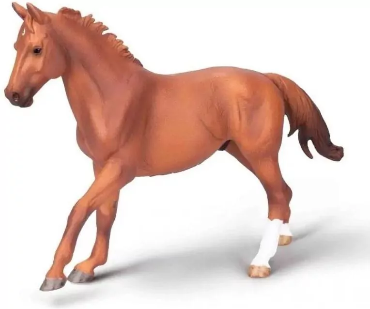 Ogier Phar Lap maści kasztanowej - tantis.pl