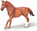 Ogier Phar Lap maści kasztanowej - tantis.pl