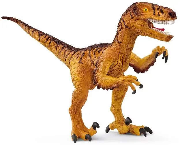 Welociraptor - tantis.pl