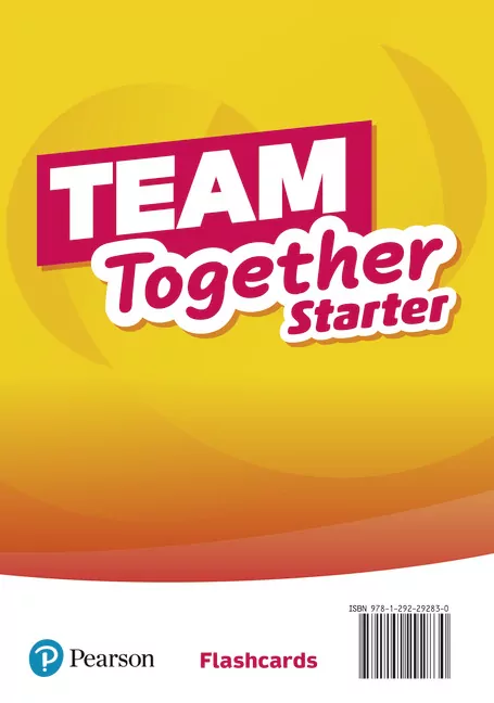 Team Together Starter. Flashcards - tantis.pl