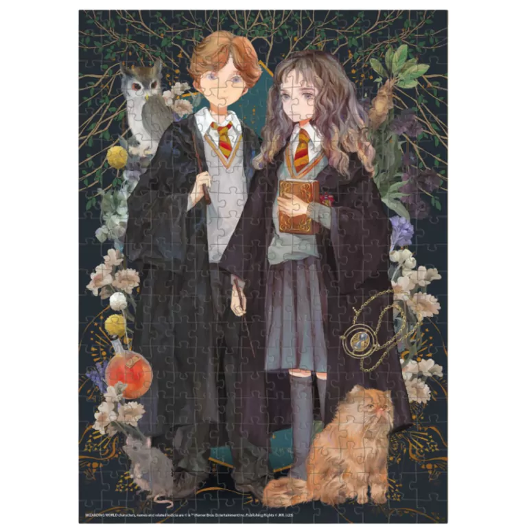 Puzzle 300. Harry Potter. Hermiona i Ron - tantis.pl