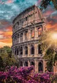 Puzzle 500 HQ. Flavian Amphitheatre - tantis.pl