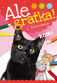 Ale gratka! Kotki - tantis.pl