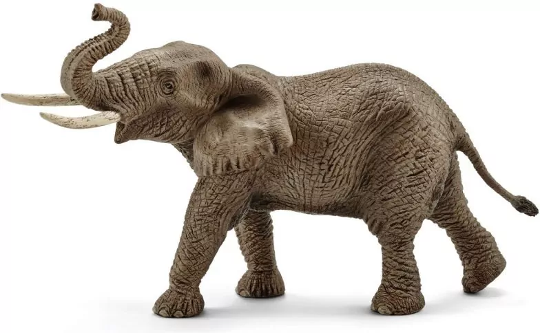 Słoń afrykański samiec Wild Life 14762 - tantis.pl