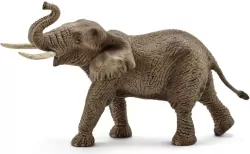 Słoń afrykański samiec Wild Life 14762