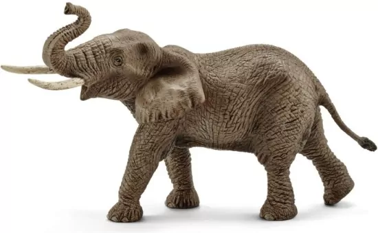 Słoń afrykański samiec Wild Life 14762