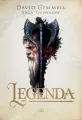 Saga Drenajów T.1 Legenda - tantis.pl