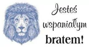 Magnes. Jesteś wspaniałym bratem! - tantis.pl