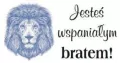 Magnes. Jesteś wspaniałym bratem! - tantis.pl