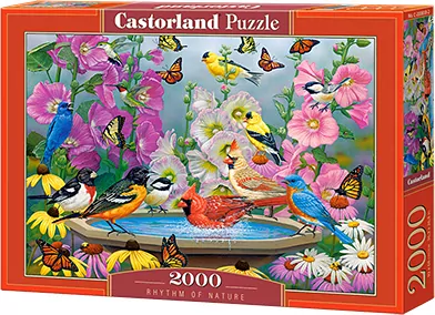 Puzzle 2000 Rhythm of Nature - tantis.pl