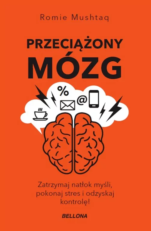 Przeciążony mózg - tantis.pl