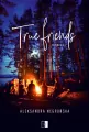 True Friends. Tom 3 - tantis.pl