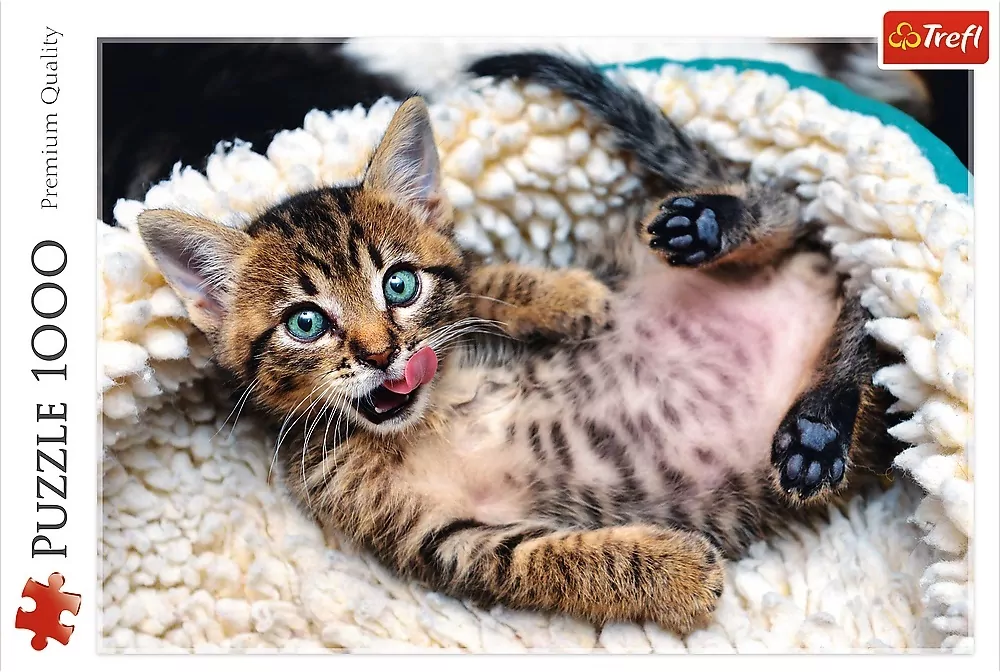 Puzzle 1000. Wesoły kotek. 10448 - tantis.pl