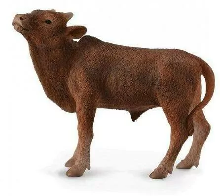 Cielę Ankole-Watusi - tantis.pl