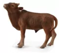 Cielę Ankole-Watusi - tantis.pl