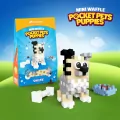 Mini Waffle - Pocket Pets Puppies - Sheltie - tantis.pl