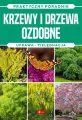 Krzewy i drzewa ozdobne. Natura - tantis.pl