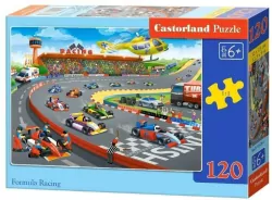 Castor. Puzzle 120. Formula Racing