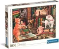 Puzzle 1000 Curious Whiskers - tantis.pl