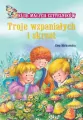 Troje wspaniałych i skrzat - tantis.pl