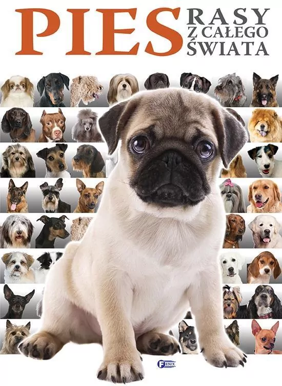 Pies. Rasy z całego świata - tantis.pl