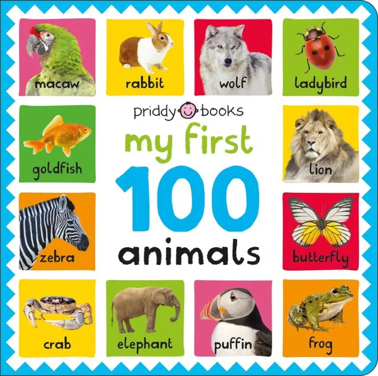 My First 100: Animals - tantis.pl