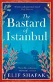 The Bastard of Istanbul - tantis.pl