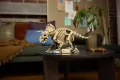 LEGO® Szkielety dinozaurów: triceratops 77985 - tantis.pl