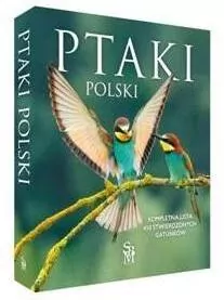 Ptaki Polski - tantis.pl