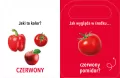 Kolory. Otwórz i zobacz! - tantis.pl
