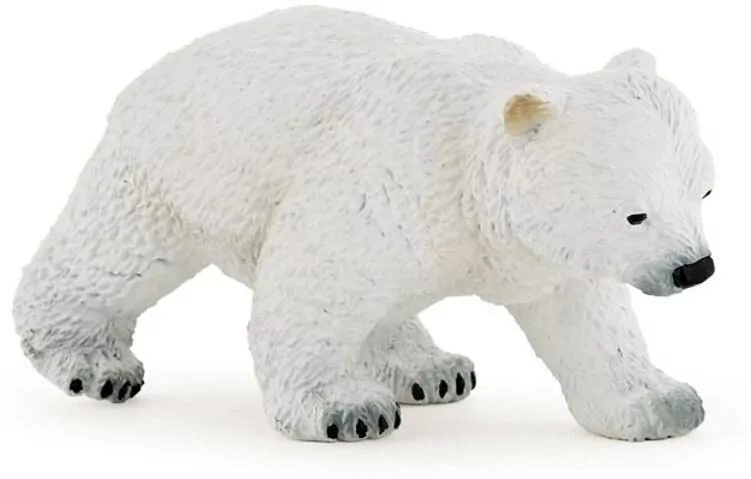 Niedźwiedź polarny młody - tantis.pl