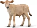 Cielę Jersey - tantis.pl