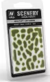 Vallejo: SC401 - Scenery - Wild Tuft - Dry Green (2 mm x 35) - tantis.pl