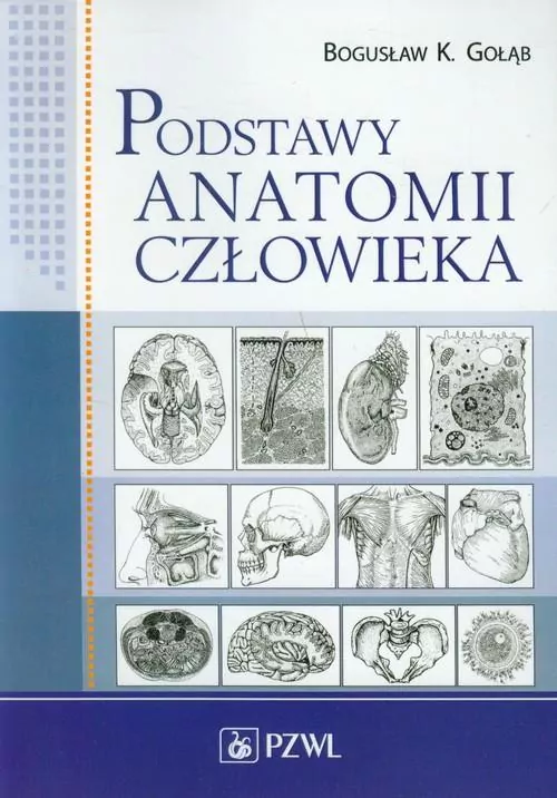 Podstawy anatomii człowieka - tantis.pl