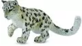 Leopard śnieżny - tantis.pl