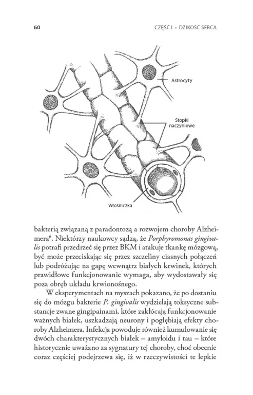 Serce. Historia naturalna - tantis.pl