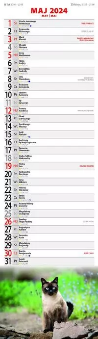 Najeżony jeż Ernest. Ściółka i spółka - tantis.pl