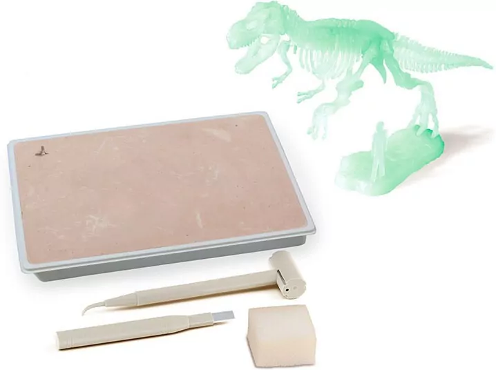 Zestaw Archeologiczny. Świecący w ciemności T-Rex - tantis.pl