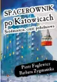 Spacerownik po Katowicach. Śródmieście, część południowa - tantis.pl