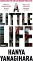 A little Life - tantis.pl