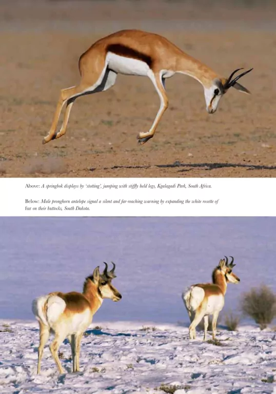 Na ścieżkach życia - tantis.pl