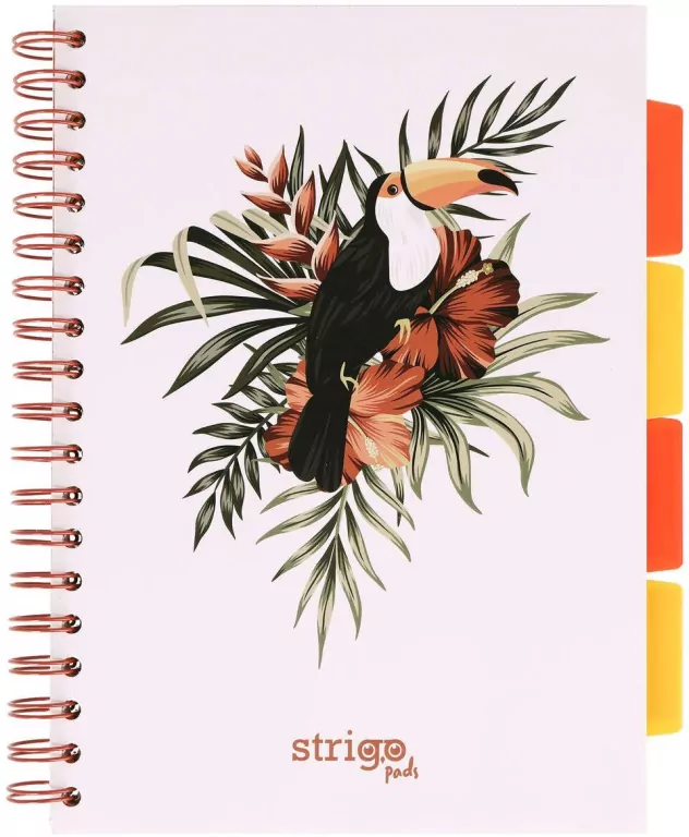 Kołozeszyt Pads B5/100K kratka Tropiki Pelikan - tantis.pl