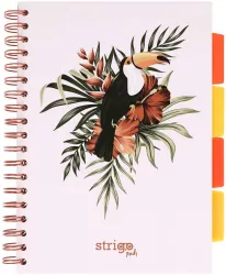 Kołozeszyt Pads B5/100K kratka Tropiki Pelikan