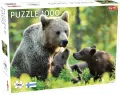 Puzzle 1000 Lovers Bear Family - tantis.pl