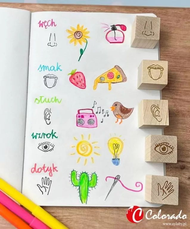 Stemple 5 zmysłów - tantis.pl